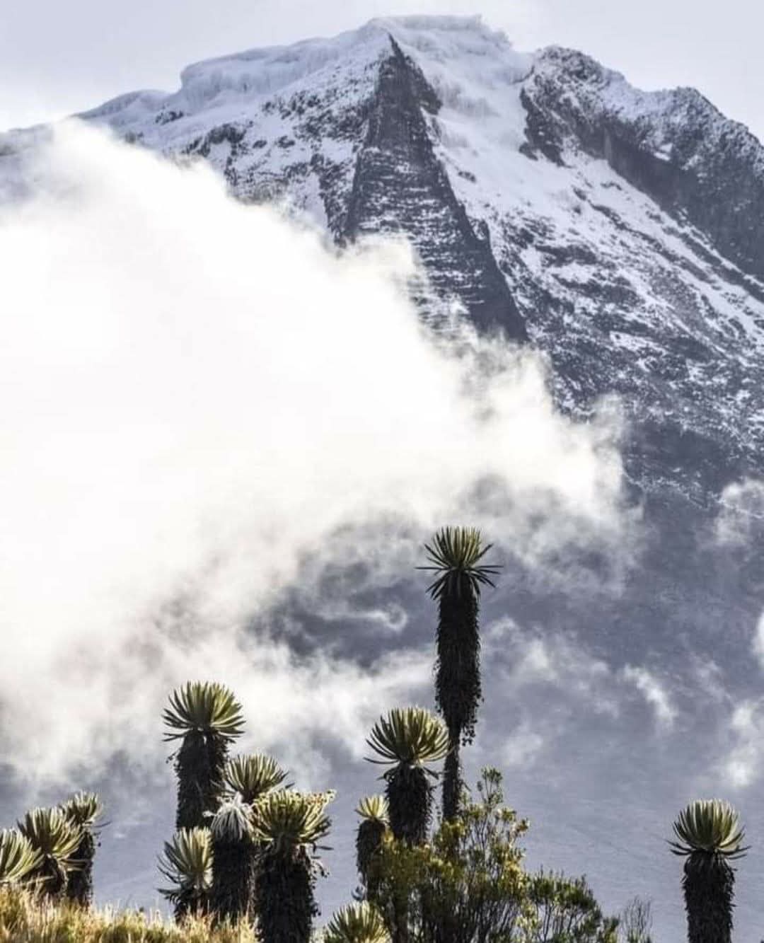 Nevado del Tolima