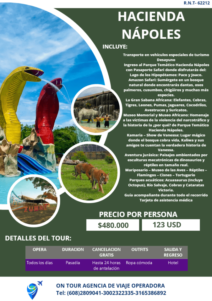 Medellín Mágica - 4