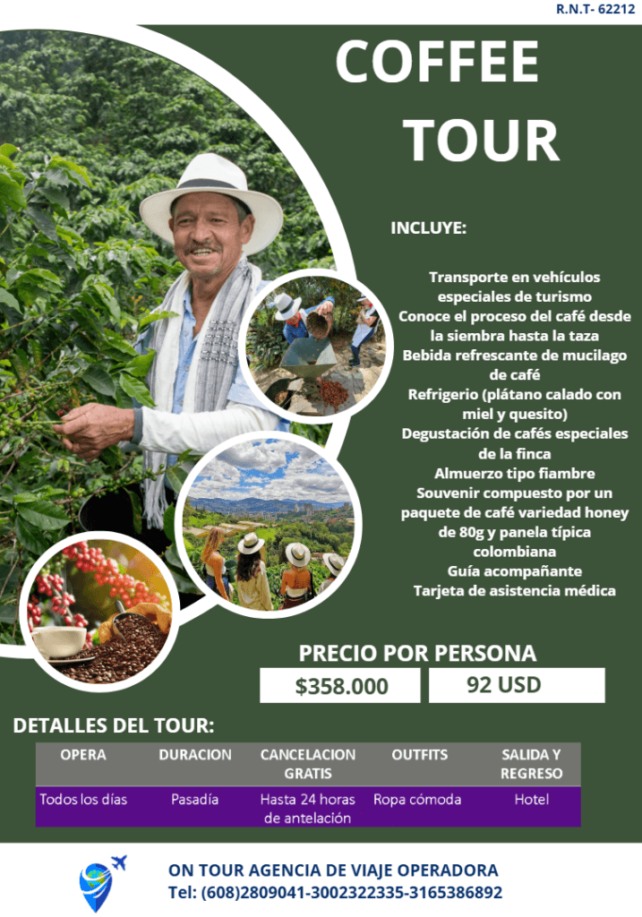 Medellín Mágica - 3