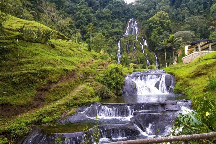 PEREIRA