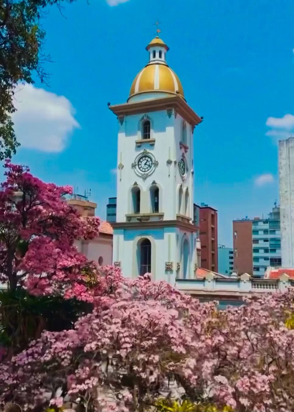 Catedral con torre de reloj y cupula
